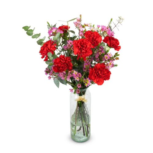Bouquet of red carnations